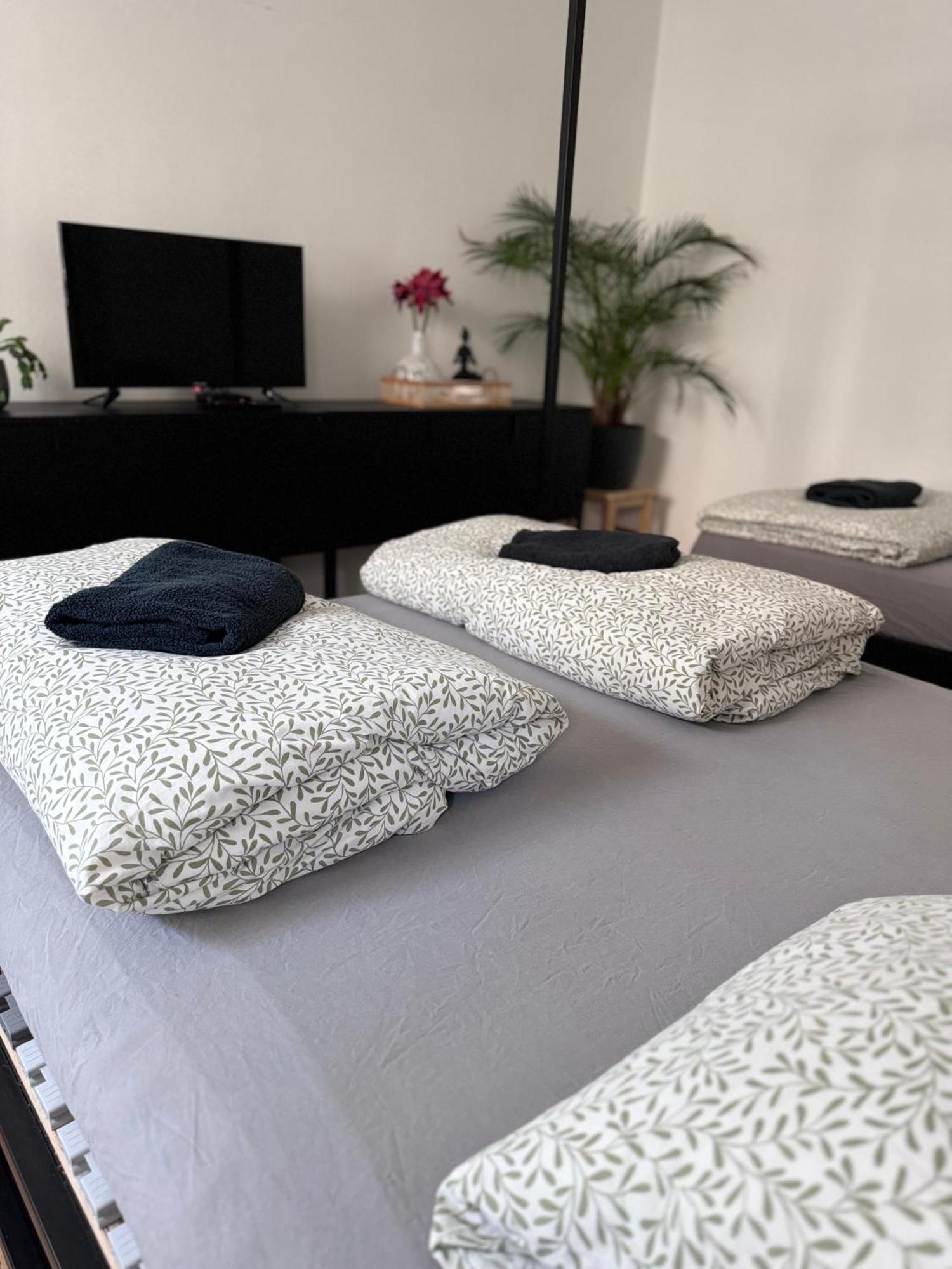 Susilova 14 Apartments I Přerov Dış mekan fotoğraf